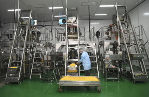 图片新闻丨重庆永川 食品产业显效益